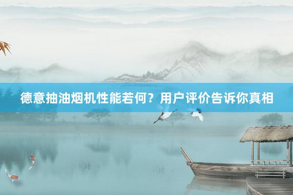 德意抽油烟机性能若何？用户评价告诉你真相