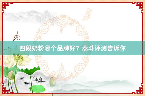四段奶粉哪个品牌好？泰斗评测告诉你